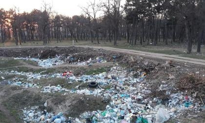 Жители Николаевщины просят построить полигон ТБО, чтобы спасти лес и реку от мусора