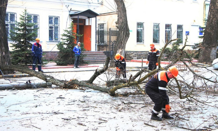 Возле здания Николаевской прокуратуры упавшая ветка свалила столб и повредила автомобиль