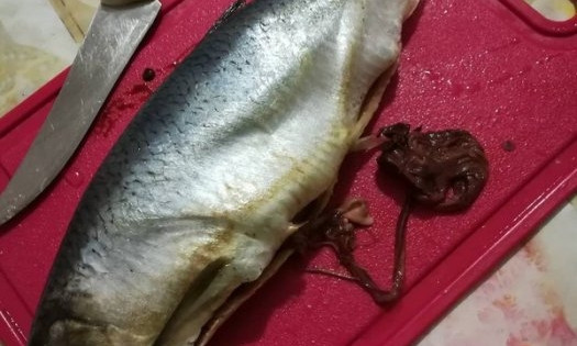В Николаеве на рынке с неприятным и опасным сюрпризом – рыба с червями анизакидоз