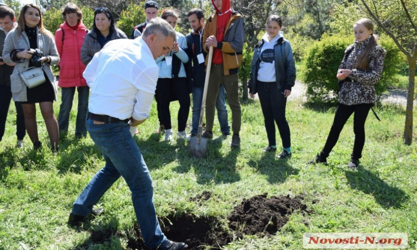 Николаевская молодежь высадили деревья в парке «Лески»