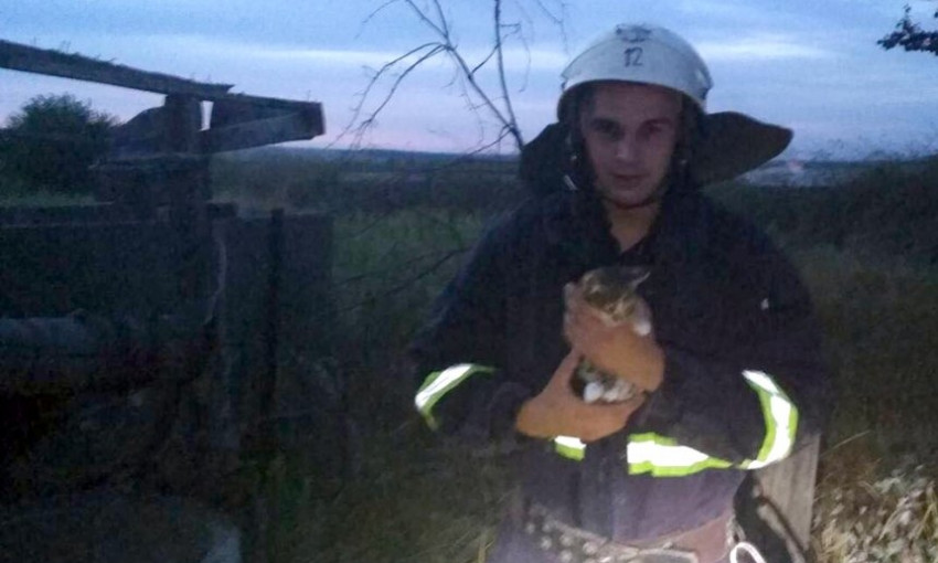Николаевские спасатели достали котенка из десятиметрового колодца