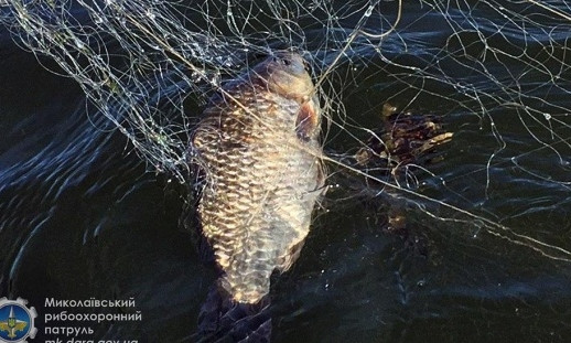 У браконьеров, пойманных на Южном Буге и Ингуле, забрали сети и рыбу