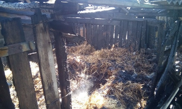 В Витовском районе едва не сгорели три КАМАЗа
