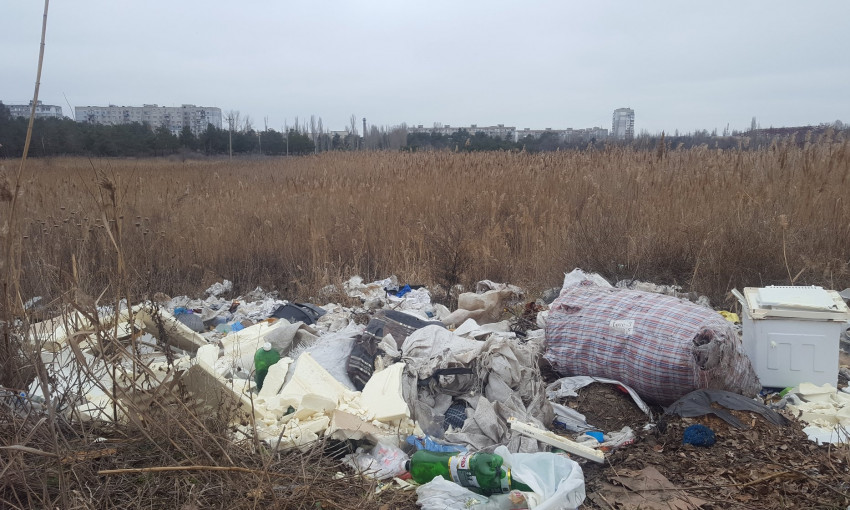 Жители Николаева утроили мусорную свалку  в парке «Лески», что приводит к загрязнению озера