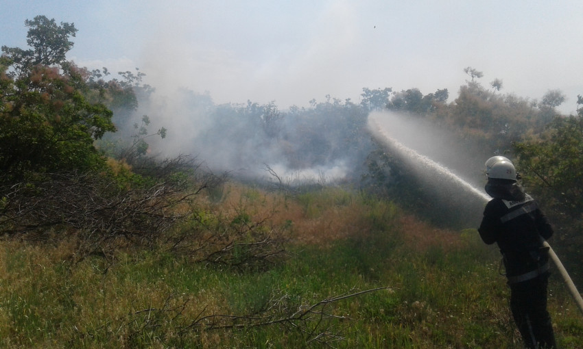 Из-за жаркой погоды и неосторожного обращения с огнем во многих районах Николаевской области горит сухая трава
