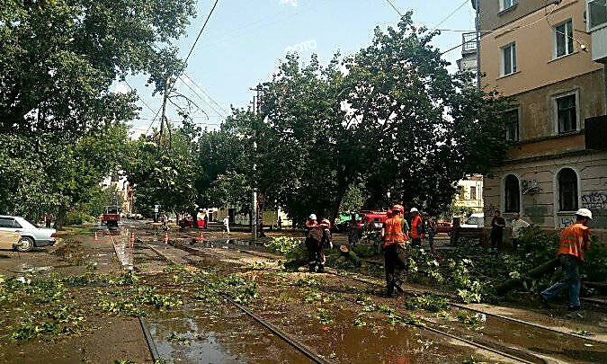 В Николаеве дерево упало на рельсы и заблокировало движение трамваев
