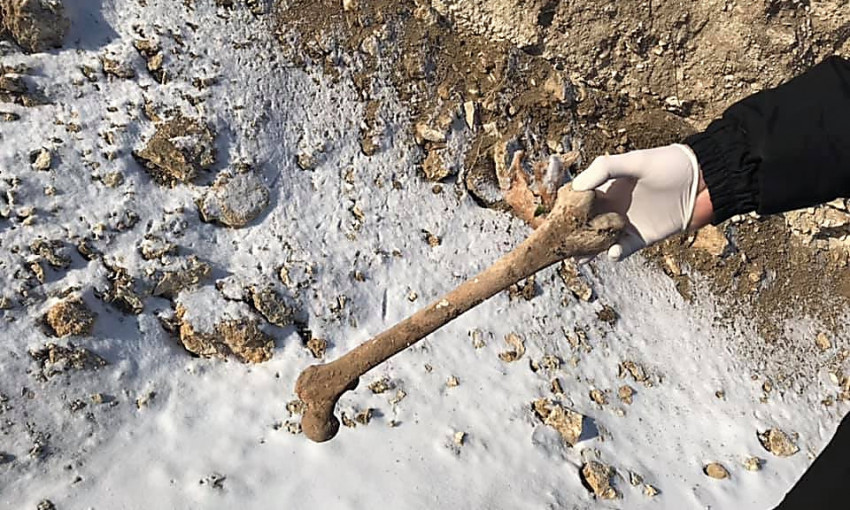В Николаеве на берегу Ингула во время строительных работ обнаружили человеческие останки