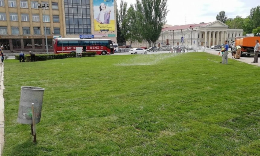 В Николаеве пытались украсть новый газон на Соборной площади