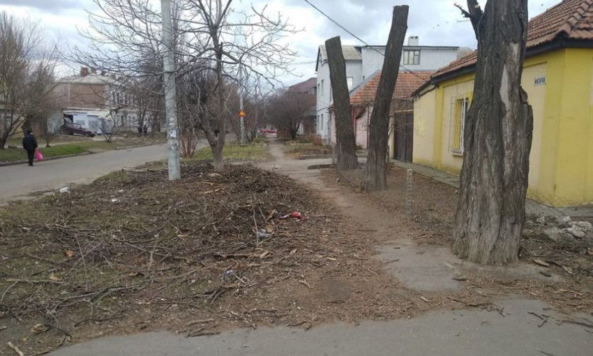 «Город пенькоделов»: Ветки из-под обрезанных деревьев в Николаеве лежат неделями