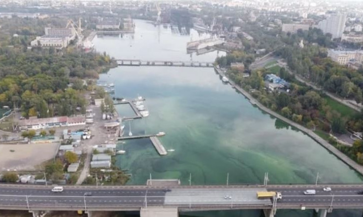 В Николаеве позеленела вода в реках — горожане массово делятся фотографиями