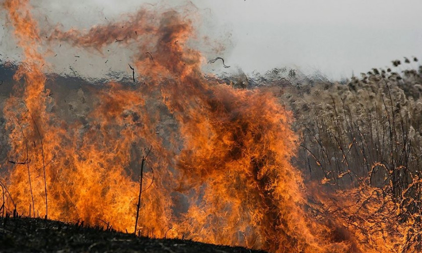 Спасатели призывают граждан не провоцировать пожары в природных экосистемах