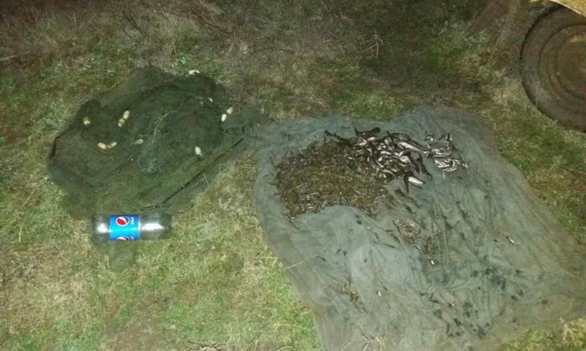Задержан браконьер с креветками и рыбой на сумму более 9 тысяч гривен