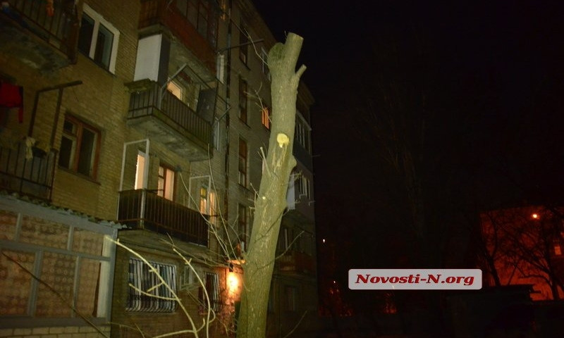 В Николаевских дворах незаконно вырубают деревья