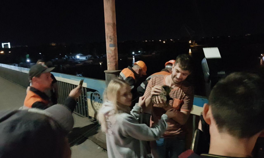 Котенок залез под нижнюю часть Ингульского моста, и его пришлось доставать спасателям