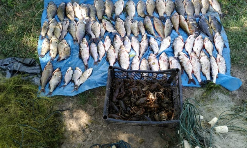 Бригадир одного из рыбохозяйственных предприятий незаконно выловил  рыбу на сумму более 60 тысяч гривен