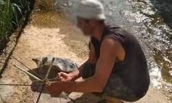 На Николаевщине за неделю браконьеры выловили 150 кг рыбы и креветок