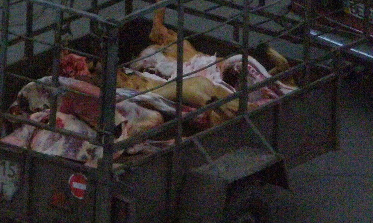 Николаевцы в шоке: мясо для магазинов перевозят в грязных открытых прицепах