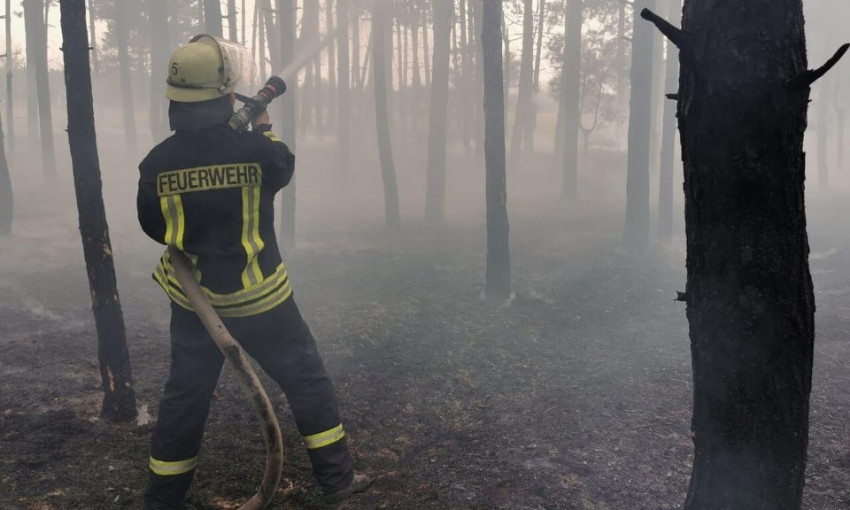 Кому праздник, а кому... - 19 апреля спасатели Николаевщины погасили два серьезных возгорания в лесу