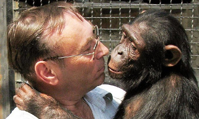 Директору Николаевского зоопарка предлагали продать шимпанзе за баснословные деньги