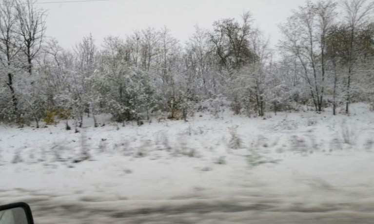 На Николаевщине выпал первый снег 
