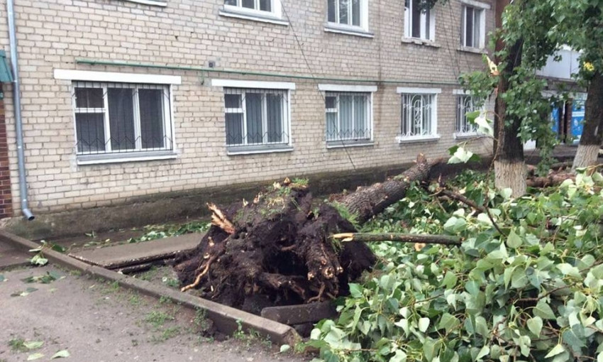На территории Новобугской центральной районной больницы из-за непогоды рухнуло дерево