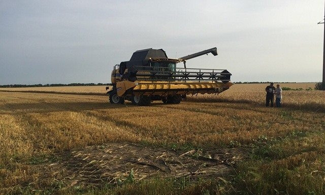 В Николаевской области началась кампания по уборке зерновых