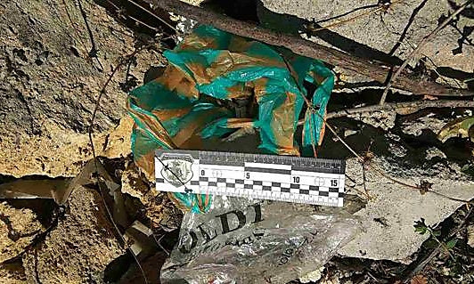 Прохожие нашли на николаевском пустыре ручную гранату «Ф-1»