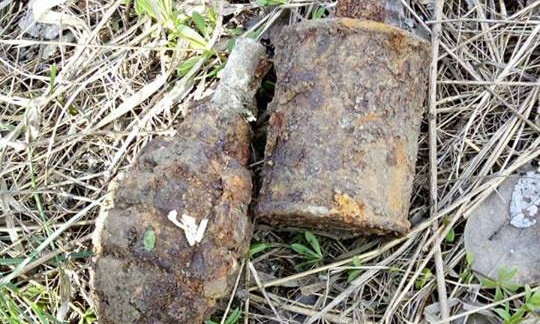 Минометную мину и две ручные гранаты обнаружили на территории Николаевской области