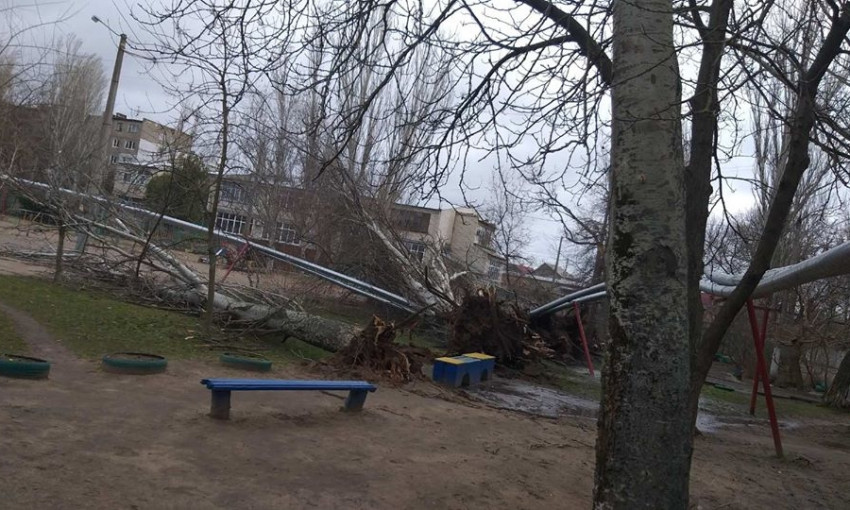 В Николаеве без отопления остались 10 жилых домов и детский сад – поваленные ураганным ветром деревья повредили теплосети