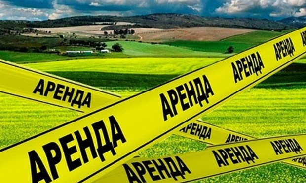 За аренду земли сельхозназначения в бюджеты Николаевщины поступило более 20 млн грн