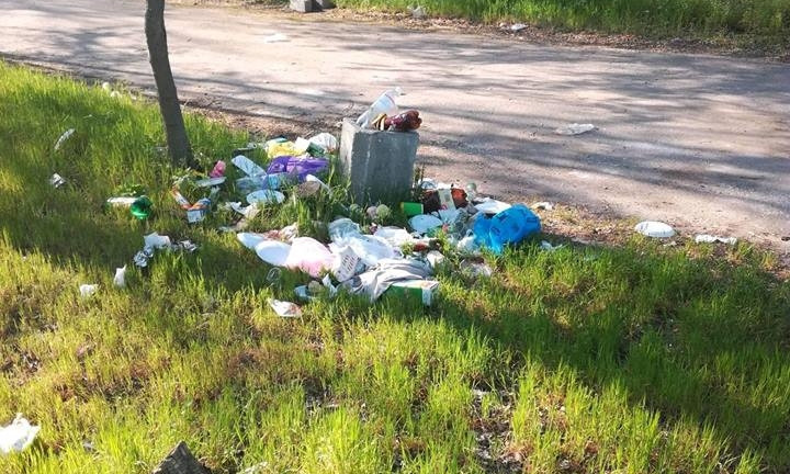 «Обидно смотреть»: николаевец пожаловался на мусорную свалку прямо в Парке Победы