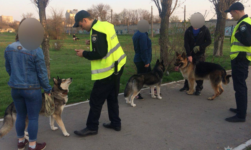 В Николаеве за выгул собак без намордников и поводков будут штрафовать и даже производить конфискацию животного