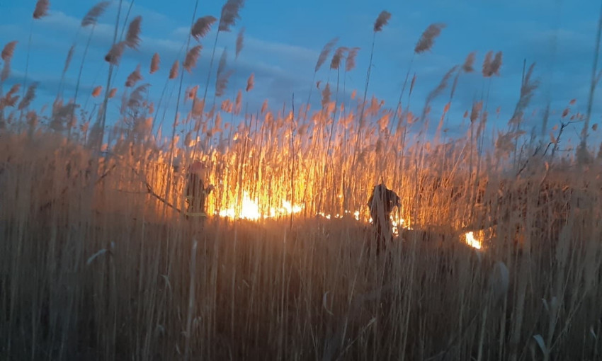 В Николаевской области неизвестные неоднократно поджигали сухую траву и камыш
