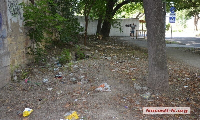 В центре Николаева образовался "ковер" из мусора