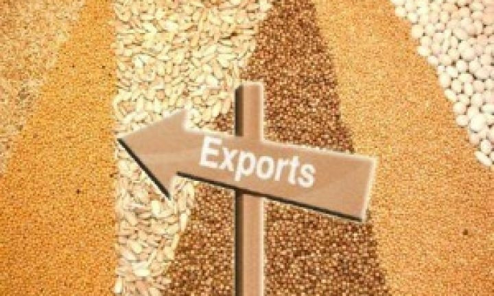Раскрыта схема махинаций с экспортом зерновых в Николаевской области на общую сумму 6,6 миллиардов гривен