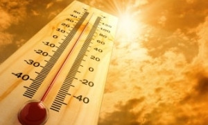 Высокая температура в городе опасна для здоровья 