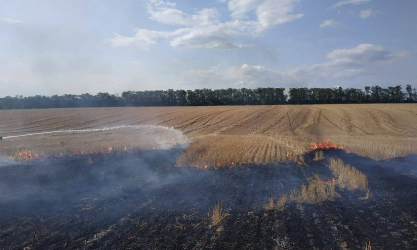 В Вознесенском районе по неизвестной причине загорелось поле площадью 19 гектар