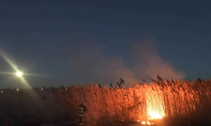На Николаевщине горел камыш — подозревают поджог