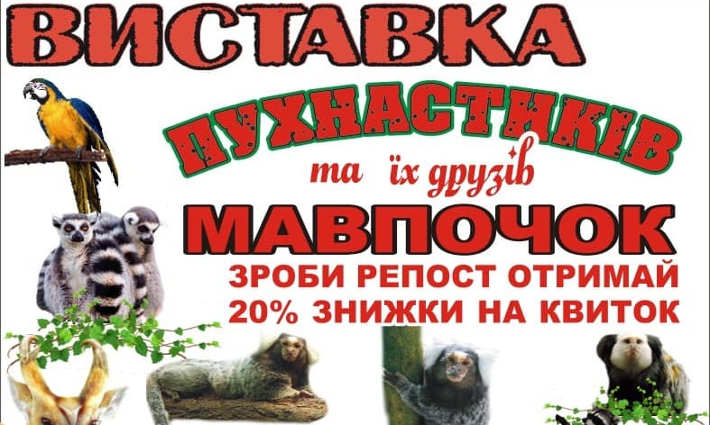 В Николаеве пройдет выставка обезьян и попугаев