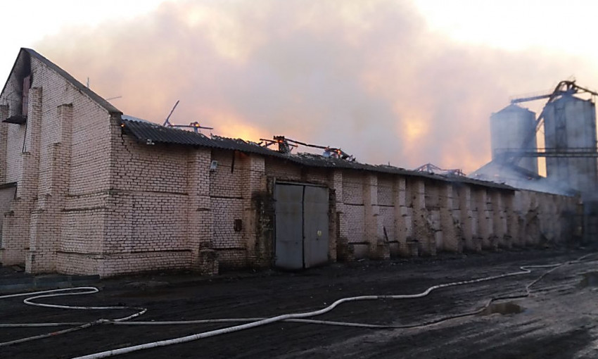 В Николаеве загорелся маслозавод: спасателям несвоевременно об этом сообщили
