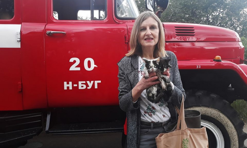 Мчсники Николаевщины спасли двух котят