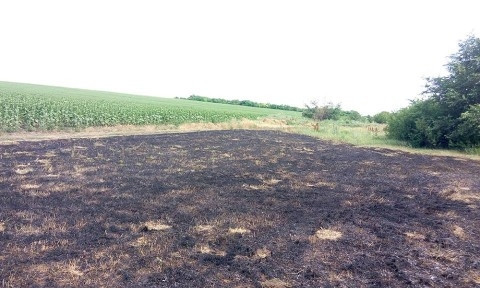 На Николаевщине участились случаи возгорания сухой травы