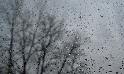 В Николаеве и Николаевской области ожидается ухудшение погодных условий: дождь с мокрым снегом и сильный ветер