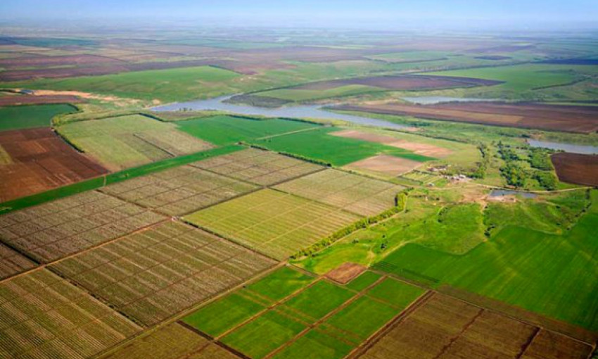 В Николаевской области участникам АТО передали в собственность более шести тысяч гектар земли 