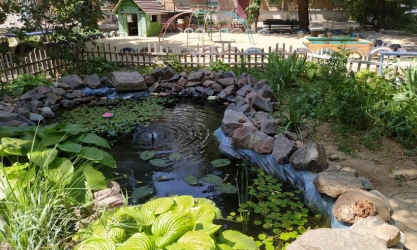 Зеленый уголок с прудиком, - такую красоту николаевцы создали во дворе своего дома