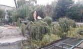 В Николаевском зоопарке показали результаты непогоды — сломаны деревья и некоторые вольеры