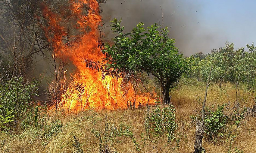 За прошедшие сутки на территории Николаевской области зафиксировано 90 случаев возгораний