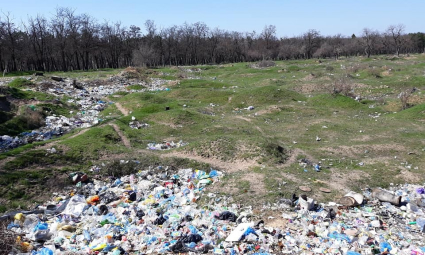 Под Николаевом лес «утонул» в мусоре: местные жители бьют тревогу, опасаясь экологической катастрофы
