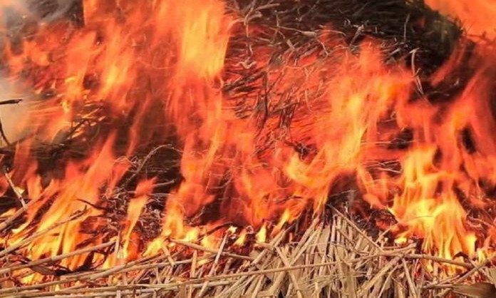 В Вознесенском районе сгорели две тонны сена и сеновал