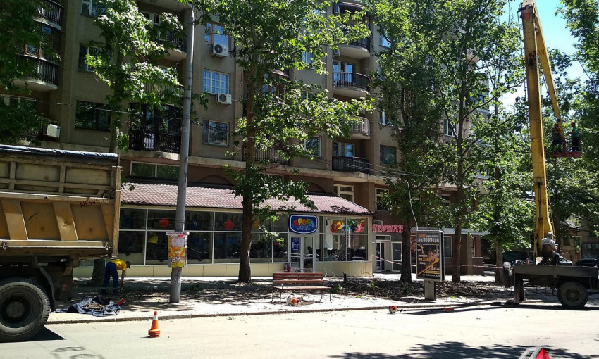 На улице Соборной в Николаеве проводится санитарная обрезка деревьев